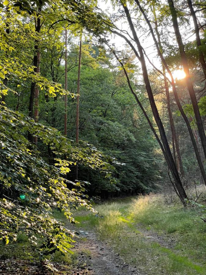 Ferienwohnung Unter Den Linden Halbe Exteriör bild